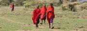 Tanzania