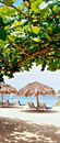 Jamaica