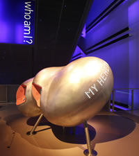 Museo de Ciencia