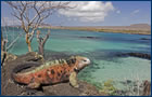 Crucero por Islas Gal�pagos