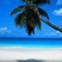 Suva (Fidji)