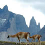 Puerto Natales (Chile)