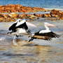 Port Victoria