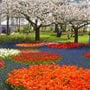 Amsterdam (Holanda)