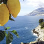 Sorrento (Italia)