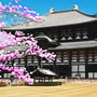 Fukuoka (Jap�n)