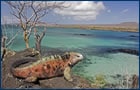 Islas Gal�pagos
