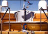 foto 4 - Celebrity Xpedition: Jacuzzi