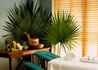 foto 8 - Celebrity Xpedition: SPA