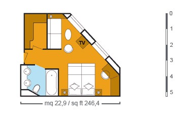 Layout de la categor�a SM