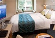 Categor�a CV - Exterior CV. Vista Central Park
