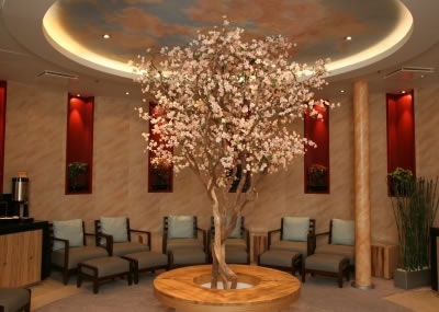 Foto&nbsp;74 - Allure of the Seas - Sala Spa