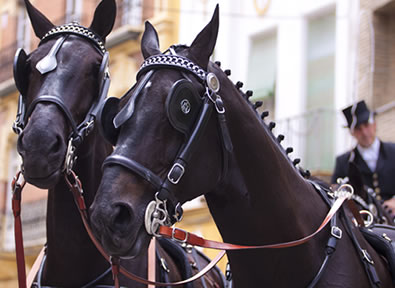 Feria del Caballo