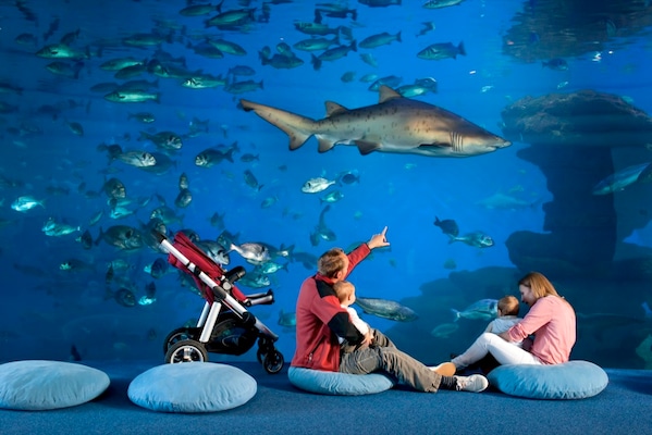 palma-aquarium palma-aquarium