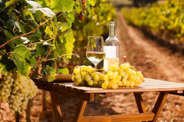 Barcelona con ruta del vino por el Penedès Barcelona con ruta del vino por el Penedès