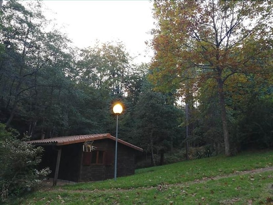 Cabañas en los árboles de Leintz Cabañas en los árboles de Leintz