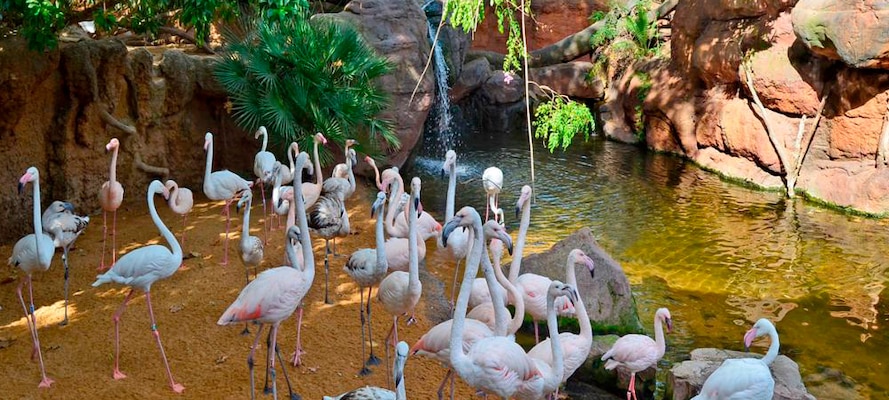 Bioparc Fuengirola Bioparc Fuengirola