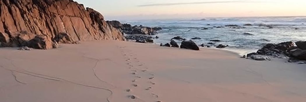 Povoa De Varzim