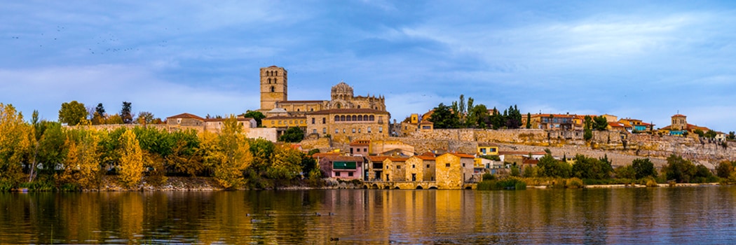 Zamora