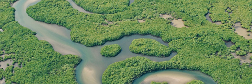 Parque Nacional del Delta del Salum