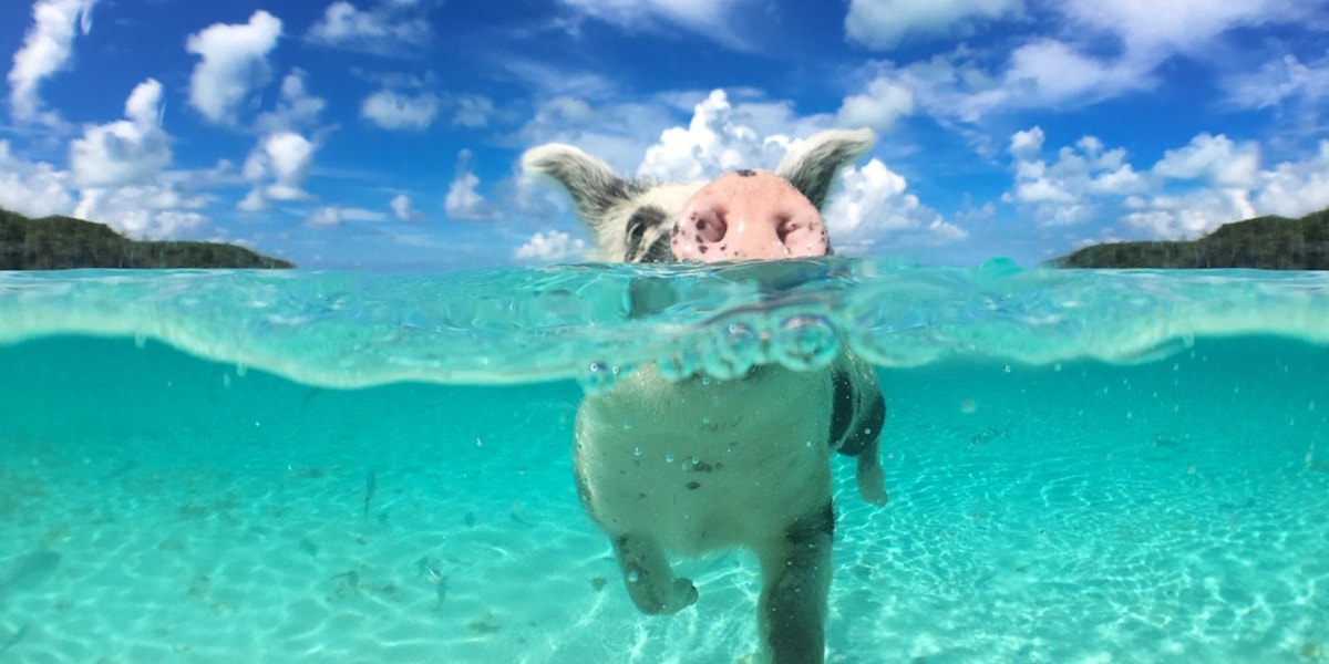 https://blog.logitravel.com/wp-content/uploads/2020/02/portada-4.jpg