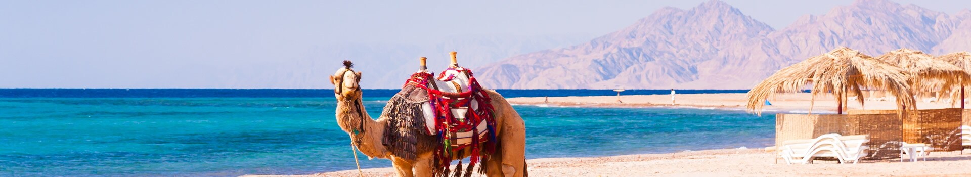  Escapadas **Primavera** **en Hurghada**