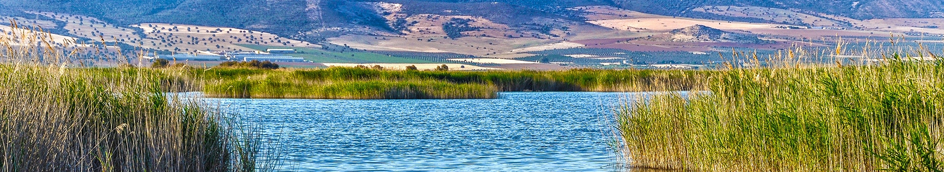 Ofertas de Vuelo+Hotel a **Daimiel**