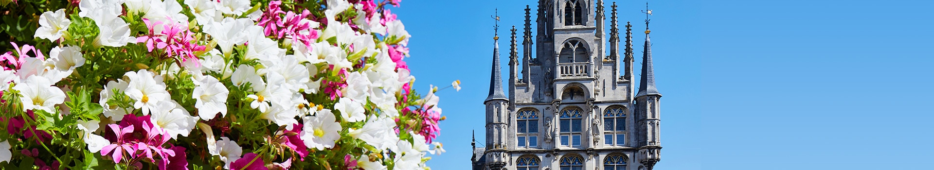 Ofertas de Vuelo+Hotel a **Gouda**