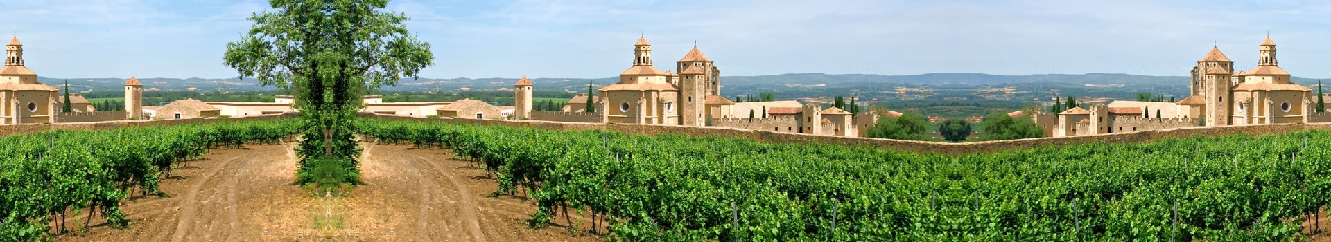 Viajes a **Monasterio de Poblet**