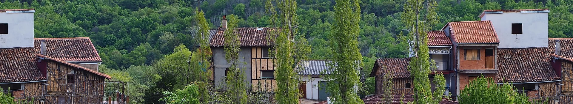 Viajes a **San Martín del Castañar**