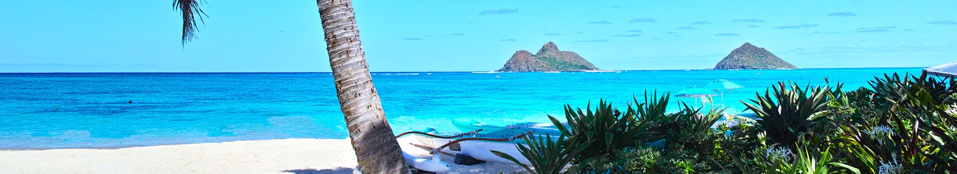 Viajes a **Holualoa**