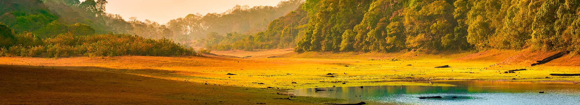 Viajes a **Periyar**