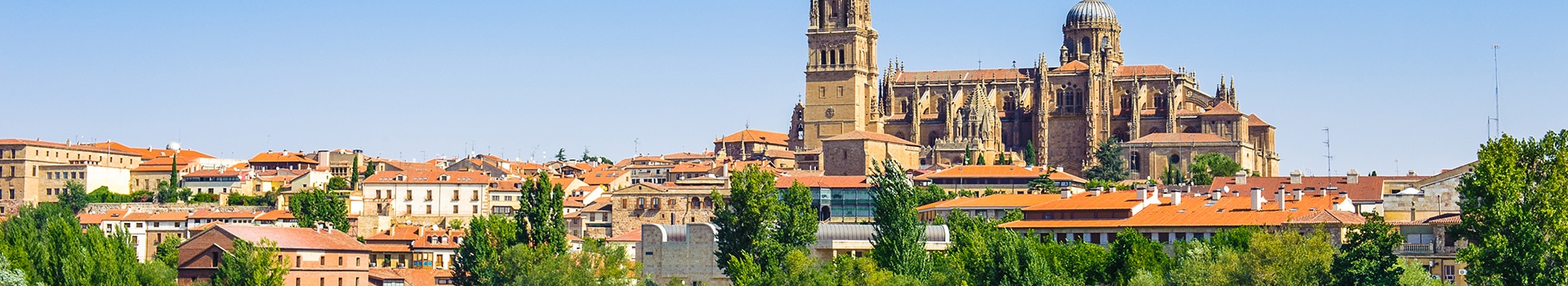 Ofertas de Tren+Hotel a **Salamanca**