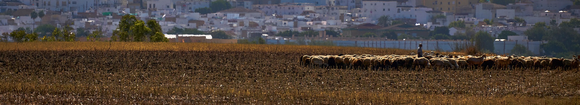 Viajes a **Villamartín**