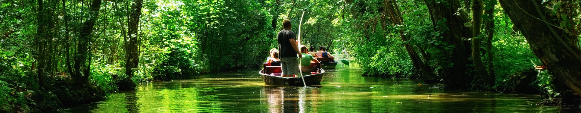 Ruta por Nouvelle-Aquitaine: Venecia Verde (Marisma de Poitou), Poitiers-Futuroscope, Limoges, Angoulême y Burdeos