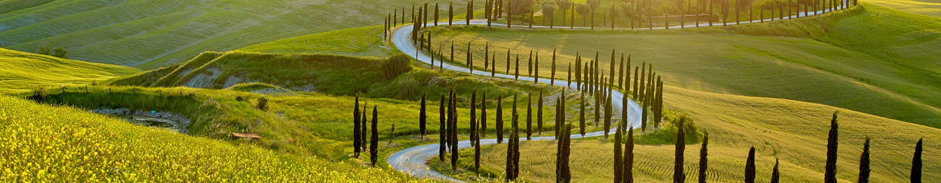 Italia: Especial +60 Senior Toscana, cultura y tradiciones (desde Barcelona)