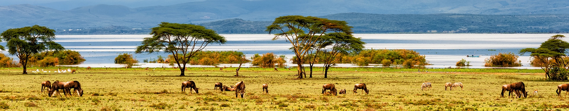 Aberdare, Nakuru, Masai Mara, Naivasha y Mauricio