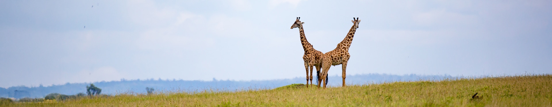Nairobi, Samburu, Aberdare, Lago Nakuru y Masai Mara con Zanzíbar