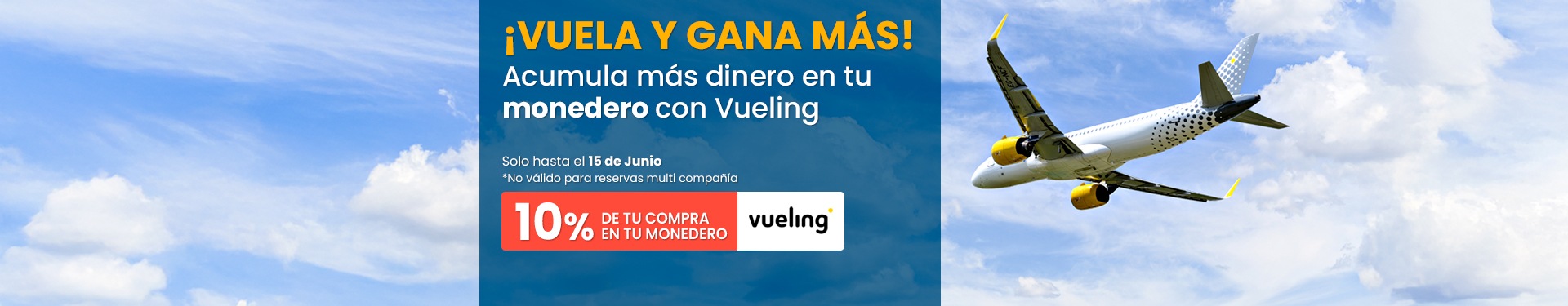 Monedero Vueling