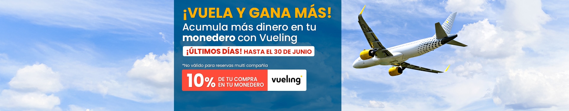 ES_Monedero_Vueling_Ampliacion_2