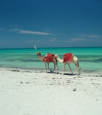 Qué hacer en Djerba Qué hacer en Djerba