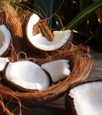  Gastronomía seychellense: ¡tan mestiza como su población!