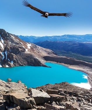 Observación de aves en la Patagonia