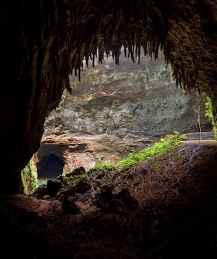 Cavernas del Río Camuy
