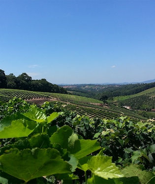 Circuito de las Frutas Circuito de las Frutas
