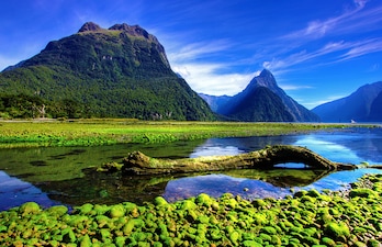 Nueva Zelanda Nueva Zelanda