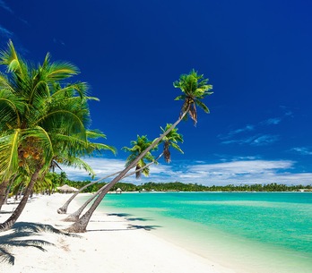 Fiji Fiji