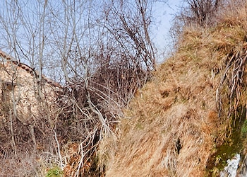 Tragacete