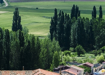 Peñaranda de Duero