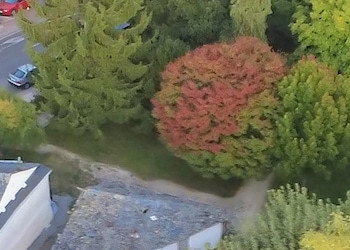 Cacabelos